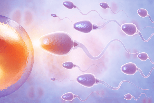 Kako funkcioniše oplodnja: Put ka novom životu